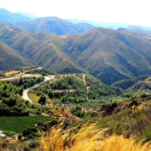 Meet your Posher, Sherrie